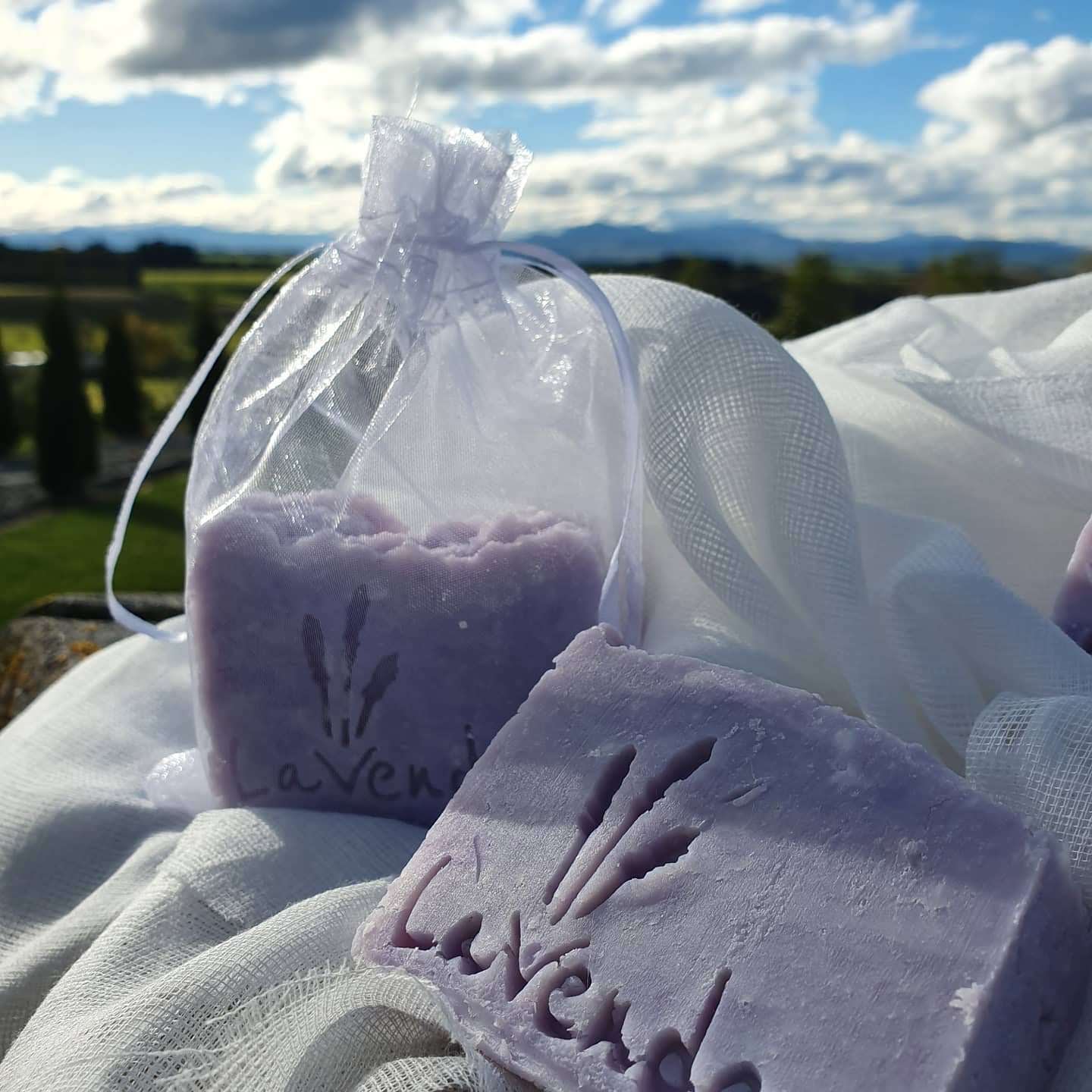 Rustic Lavender Castille Soap Bar